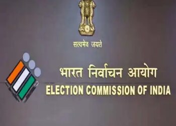 Apart from voter card, you will be able to vote by showing 12 alternative identity cards.