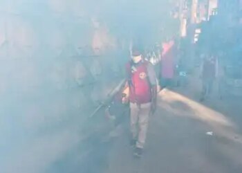 Bangladesh: Four deaths due to dengue, death toll to cross 270 in 2025