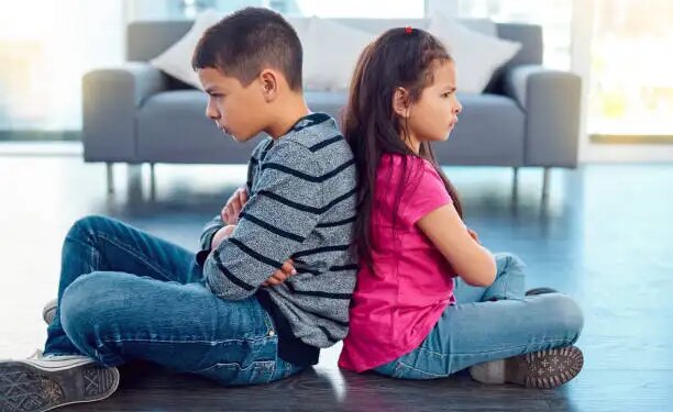 Bhaidooj 2025: भाई-बहन में छोटे-छोटे झगड़ों पर महीनों तक नहीं होती बात तो अपनाए ये टिप्स, रिश्ता होगा मजबूत&nbsp;