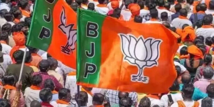 Bihar Assembly Elections 2025| Bihar Election 2025 BJP Yadav Sideline Yadav Leader sideline in Bihar Caste played a big role in Bihar BJP! Yadavs were 'sidelined', ruckus started over the list of 101 seats. News Track in Hindi