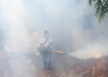 Cases of dengue and fever are increasing in Tamil Nadu, government accelerated awareness campaign