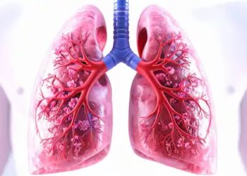 Chest X-ray is insufficient to detect whether TB patient's relatives are infected or not: The Lancet