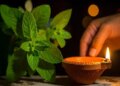 Connection with Kartik month is of religion and health, glory is written in Ayurveda