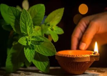 Connection with Kartik month is of religion and health, glory is written in Ayurveda