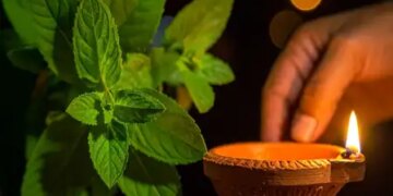 Connection with Kartik month is of religion and health, glory is written in Ayurveda