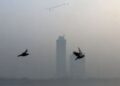 Delhi's air quality worsens on Diwali, 34 out of 38 monitoring stations in 'red zone'