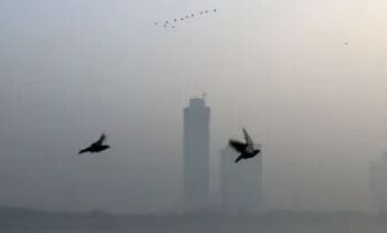 Delhi's air quality worsens on Diwali, 34 out of 38 monitoring stations in 'red zone'