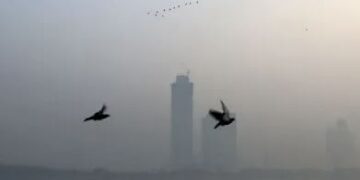 Delhi's air quality worsens on Diwali, 34 out of 38 monitoring stations in 'red zone'