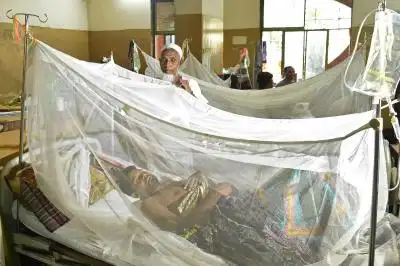 बांग्लादेश में डेंगू का कहर, 24 घंटे के भीतर 9 और लोगों की मौत