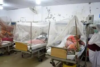पाकिस्तान में डेंगू बरपा रहा कहर: इस्लामाबाद हो या रावलपिंडी लगातार बढ़ रही संख्या, केपी का हाल बुरा