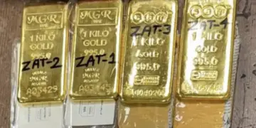 Expatriate returning from Dubai arrested at Delhi airport. Carrying more gold than the limit was costly. Board the flight after knowing the new limit.