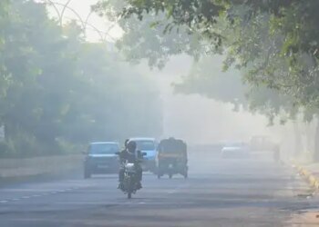 Exposure to pollution during pregnancy can affect the brain development of newborns: Research