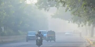 Exposure to pollution during pregnancy can affect the brain development of newborns: Research