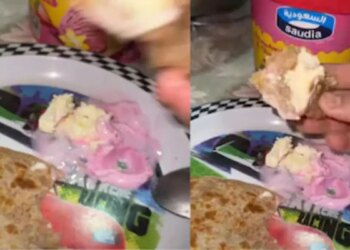 From which world do such people come? People's mind went crazy after seeing the girl eating paratha with ice cream, watch viral video