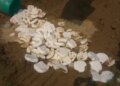 Ghaziabad: 2,500 kg adulterated cheese destroyed in Nidori, samples sent to laboratory