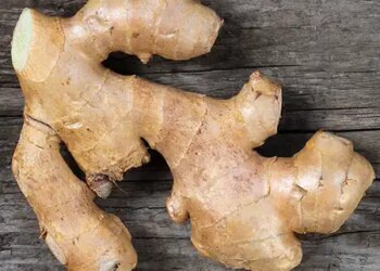 Ginger: King of kitchen and superfood of health, know its benefits from Ayurveda.