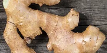 Ginger: King of kitchen and superfood of health, know its benefits from Ayurveda.