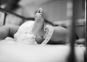 इटली में घटते जन्मदर का महासंकट, लगातार 16वें वर्ष गिरावट दर्ज