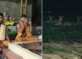 Havan was happening in the temple, saints kept doing chanting only three lions and then ...., video viral