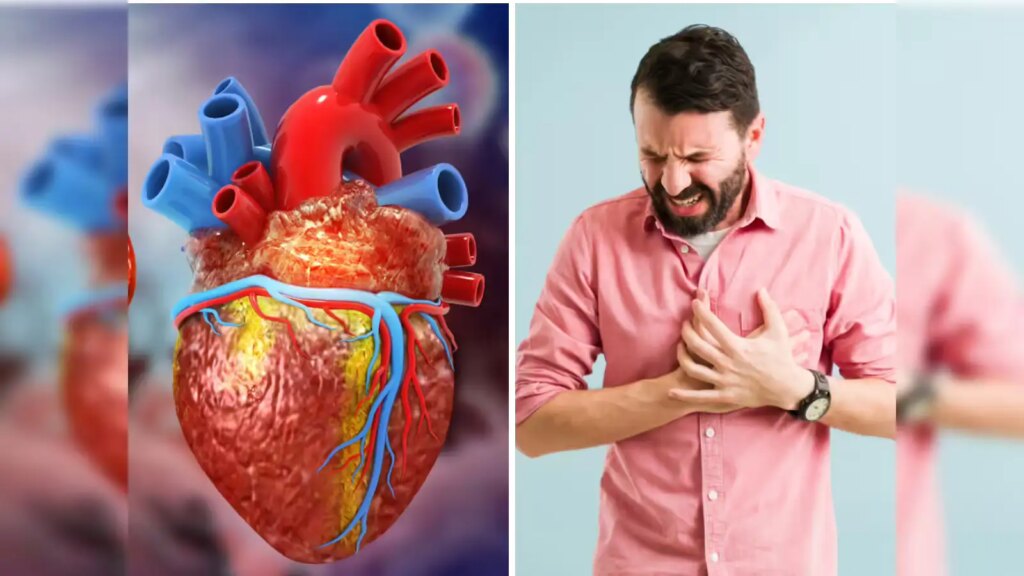 Heart Attack Signs: डॉक्टर ने भी नहीं पहचाना! 6 घंटे पहले मिला चेतावनी संकेत, जानिए कैसे बच सकती थी जान​​​​​​​
