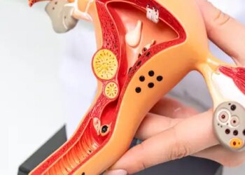 Ignoring the 'female reproductive system' can prove costly, take better care in this way