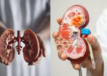 Kidney Damage Signs: सुबह की ये आम आदतें बन रही हैं किडनी खराब होने की सबसे बड़ी वजह, जानें क्या कह रहे हैं एक्सपर्ट्स