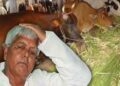 Lalu Prasad Yadav Fodder Scam: 950 Crore Bihar Fodder Scam, Political Corruption and Its Impact | 950 crores, documents in 20 trucks...how did the fodder scam happen? How Rabri Devi became CM after Lalu and how secrets were revealed. News Track in Hindi