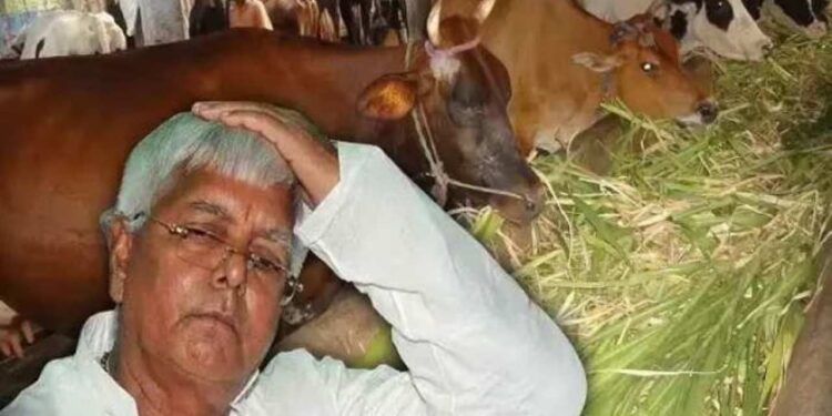 Lalu Prasad Yadav Fodder Scam: 950 Crore Bihar Fodder Scam, Political Corruption and Its Impact | 950 crores, documents in 20 trucks...how did the fodder scam happen? How Rabri Devi became CM after Lalu and how secrets were revealed. News Track in Hindi