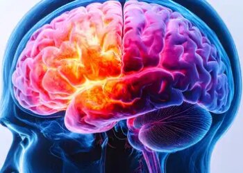 Memory is weak, these things can make the brain fast and powerful