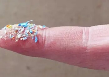 'Microplastics' are changing the map of brain and health, change is possible with some small measures
