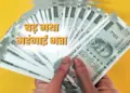 Modi government gave Dussehra gift to central employees! This dearness allowance has increased so much, know how much salary will come now?