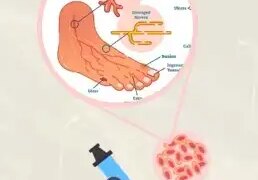 नागालैंड यूनिवर्सिटी ने खोजा