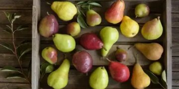 Pear is a boon for diabetic patients, it also takes care of the heart.