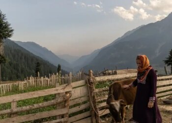 POK की हुंजा घाटी के लोग जीते हैं 120 साल तक! जानें कौन-सा तेल रखता है उन्हें जवान, स्वस्थ और कैंसर-फ्री