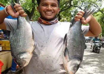 Punjab: Government declares 'Rohu' as state fish