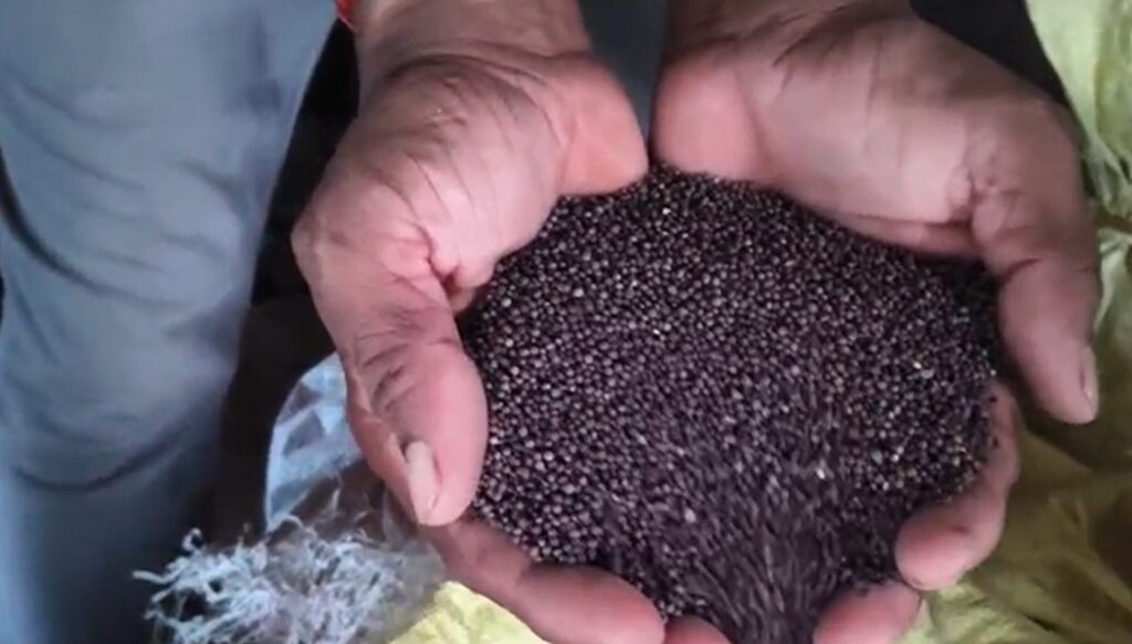 Saharsa: Mustard oil factory of Chandrayaan village became an example of inspiration.