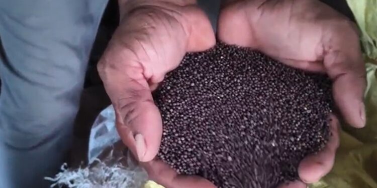 Saharsa: Mustard oil factory of Chandrayaan village became an example of inspiration.