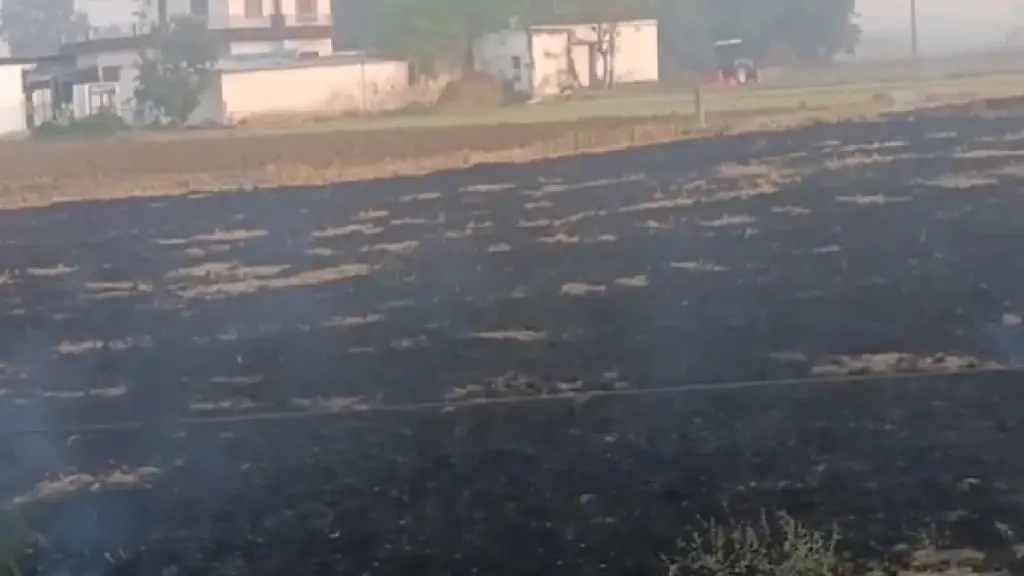 Stubble Burning In Punjab: Dangerous pollution in and around Delhi, despite the strict stance of the Supreme Court, farmers in Punjab are burning stubble parali fearlessly, terrible pollution in and around Delhi and farmers in Punjab are burning stubble parali