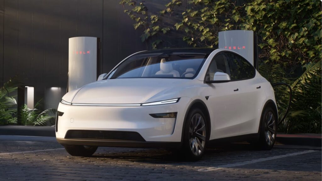 Tesla Model Y (1)