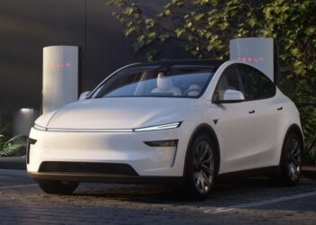 Tesla Model Y (1)