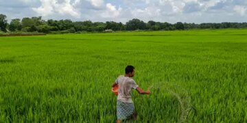 The quantity of complex fertilizers in India is estimated to increase by 2-4 percent in the current financial year: Report