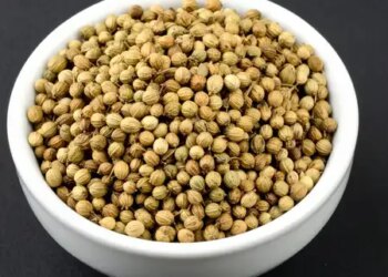 The secret of putting coriander in the pot on Diwali is linked to prosperity.