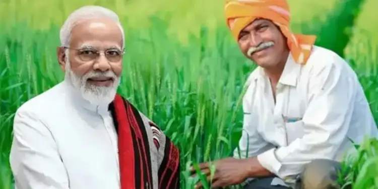 21वीं किस्त का इंतजार खत्म! नवंबर के पहले हफ्ते में किसानों के खाते में आएंगे पैसे,​​​​​​​ लेकिन फटाफट करवा ले ये जरूरी काम&nbsp;