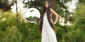 dfsgdf
