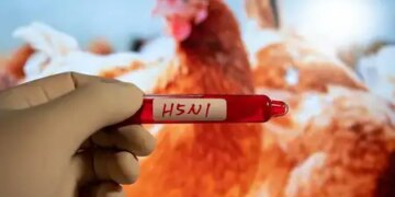 Three-year-old girl in Cambodia infected with H5N1 bird flu, Health Ministry confirms