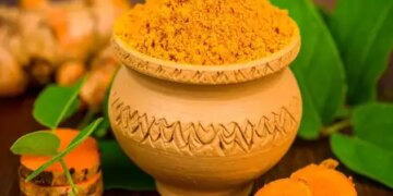 सिर्फ मसाला नहीं, जीवन रक्षक औषधि है हल्दी, आयुर्वेद से लेकर विज्ञान तक में जिक्र
