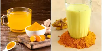 हल्दी का पानी या दूध कौन है सुपरहेल्दी? जानिए शरीर पर दोनों का असर,&nbsp;फर्क जानकर रह जाएंगे हैरान