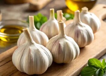 Why is consumption of garlic beneficial in winter season, full of medicinal properties