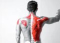 Work on computer for hours? You may have 'frozen shoulder', know the symptoms and prevention
