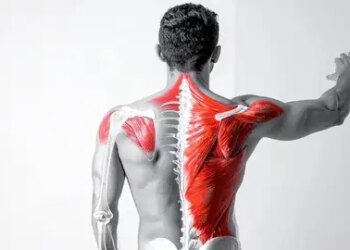 Work on computer for hours? You may have 'frozen shoulder', know the symptoms and prevention